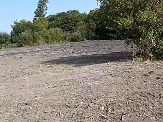 Destruction of Dublin wetlands...